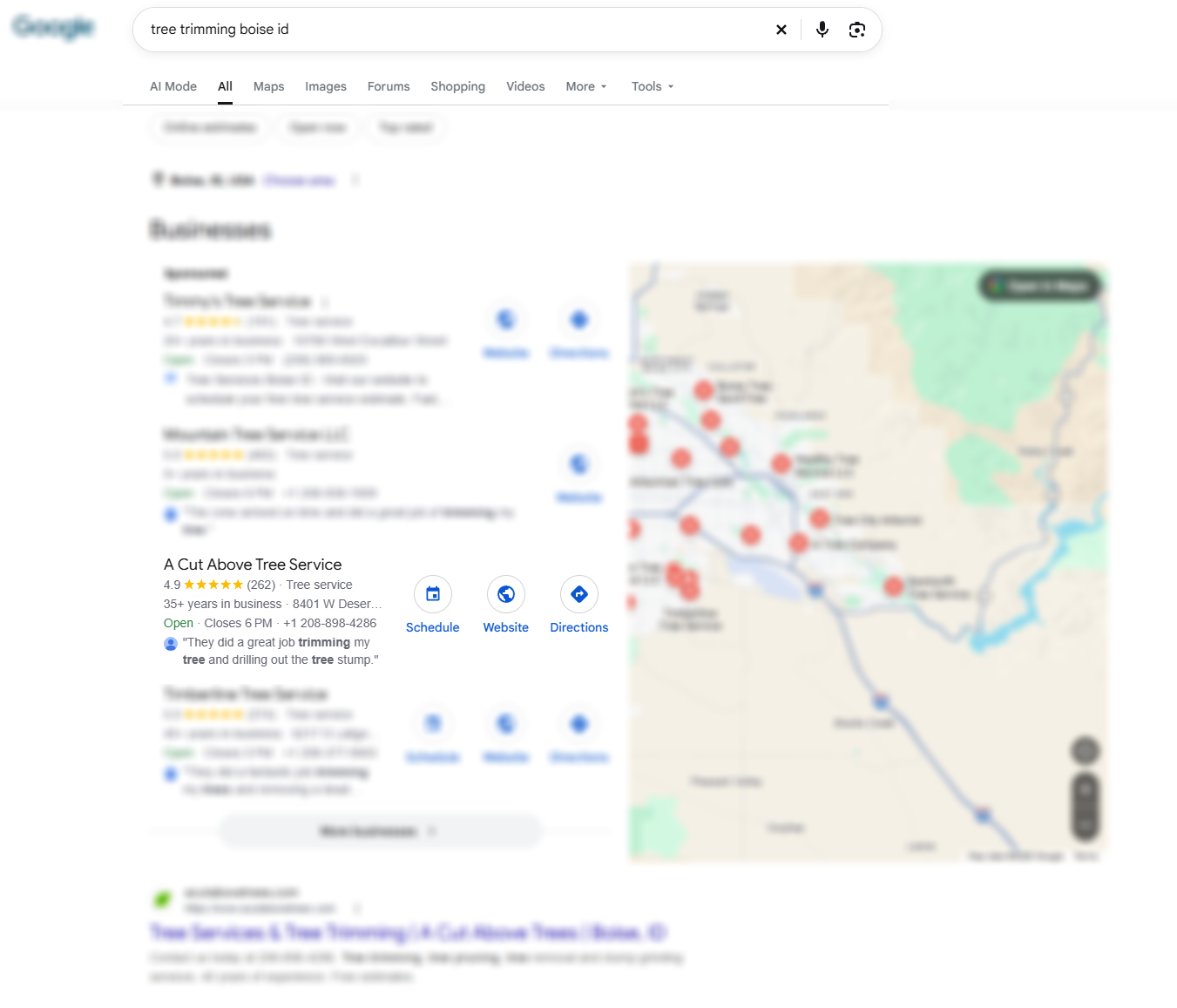 Google search results page showing businesses on the left and a map with red location pins on the right.