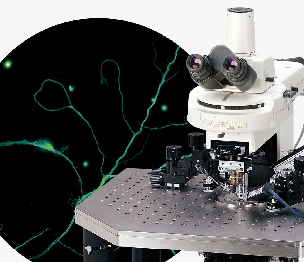 nikon microscope