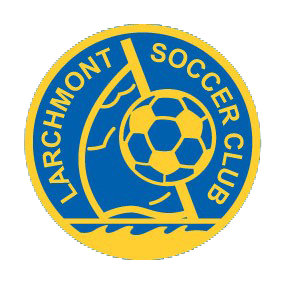 Logo for league