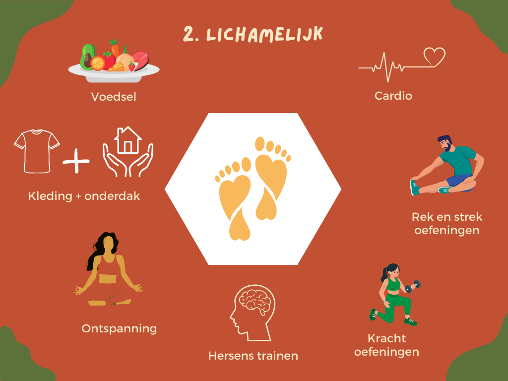 Lichamelijke ontwikkeling 