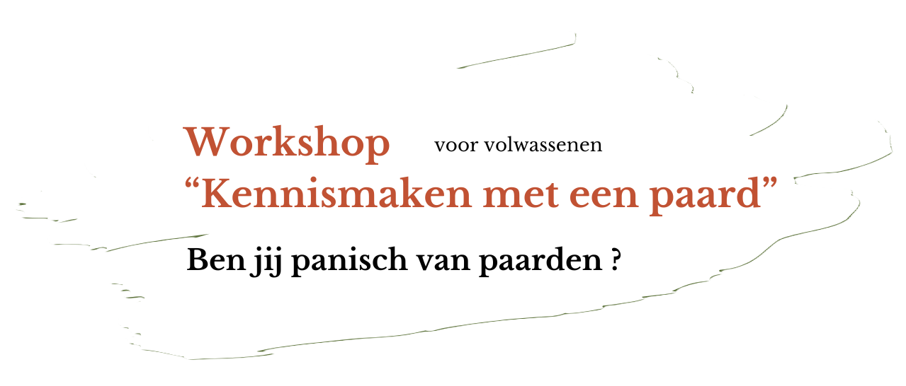 Workshop 