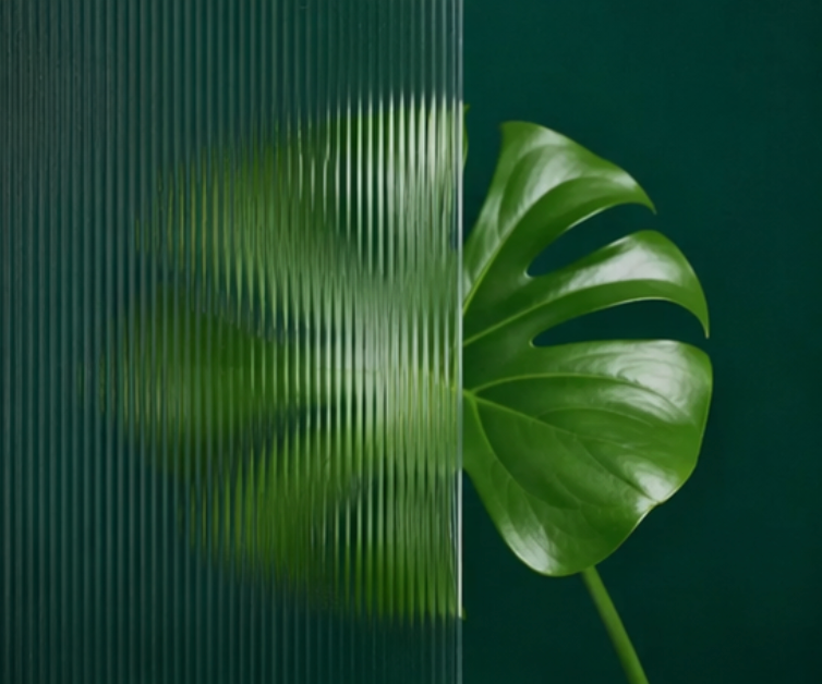 Green monstera leaf behind frosted ribbed glass on a dark teal background
