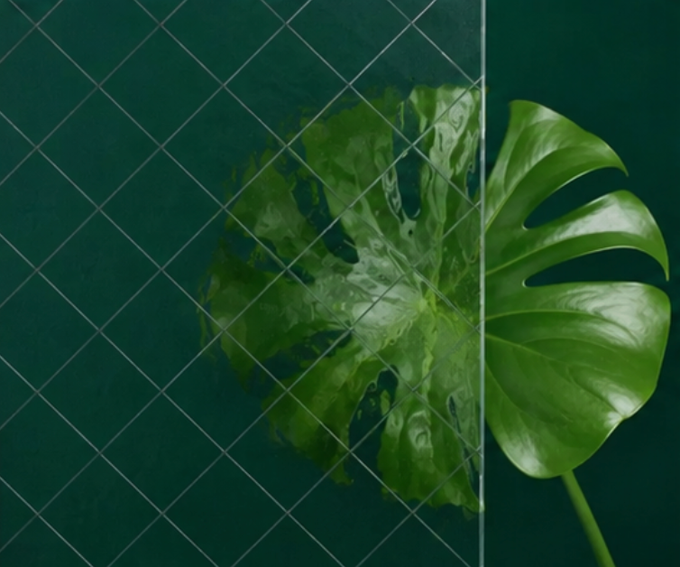 Green monstera leaf split by a vertical line on a dark green background with a faint grid pattern