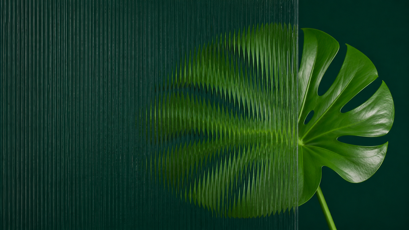 Green monstera leaf behind rain-streaked glass on a dark teal background