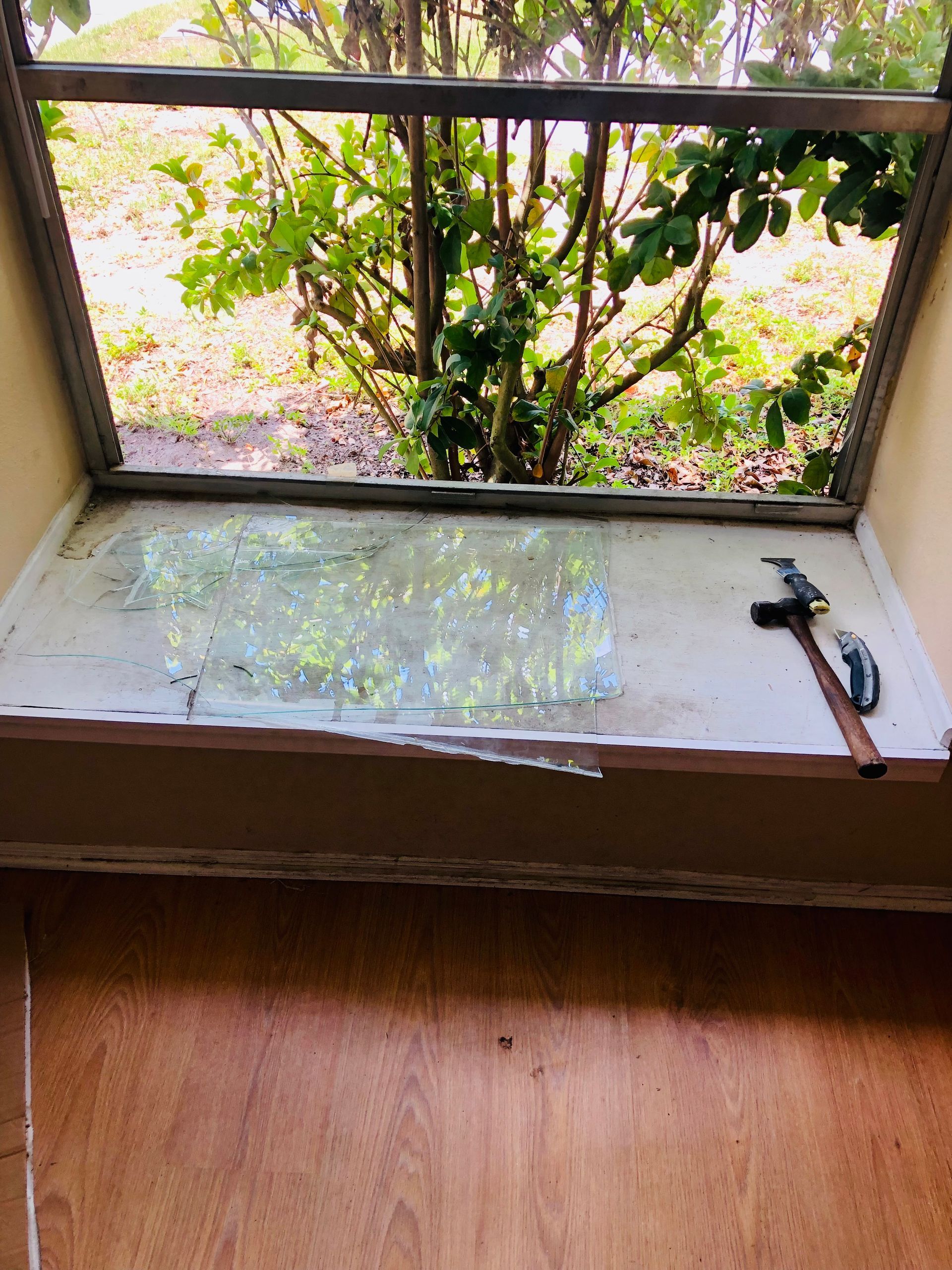 moisture on window