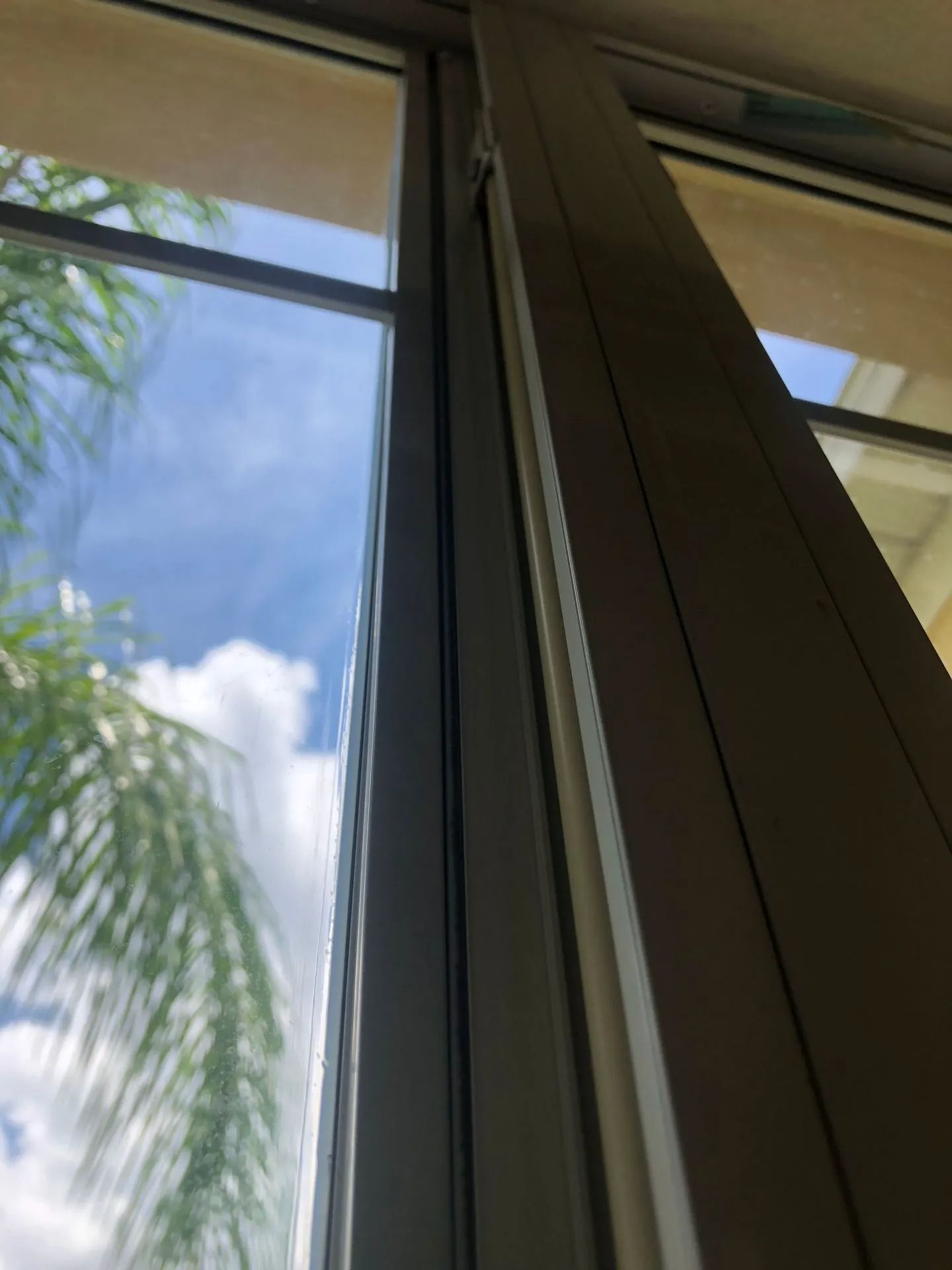 window