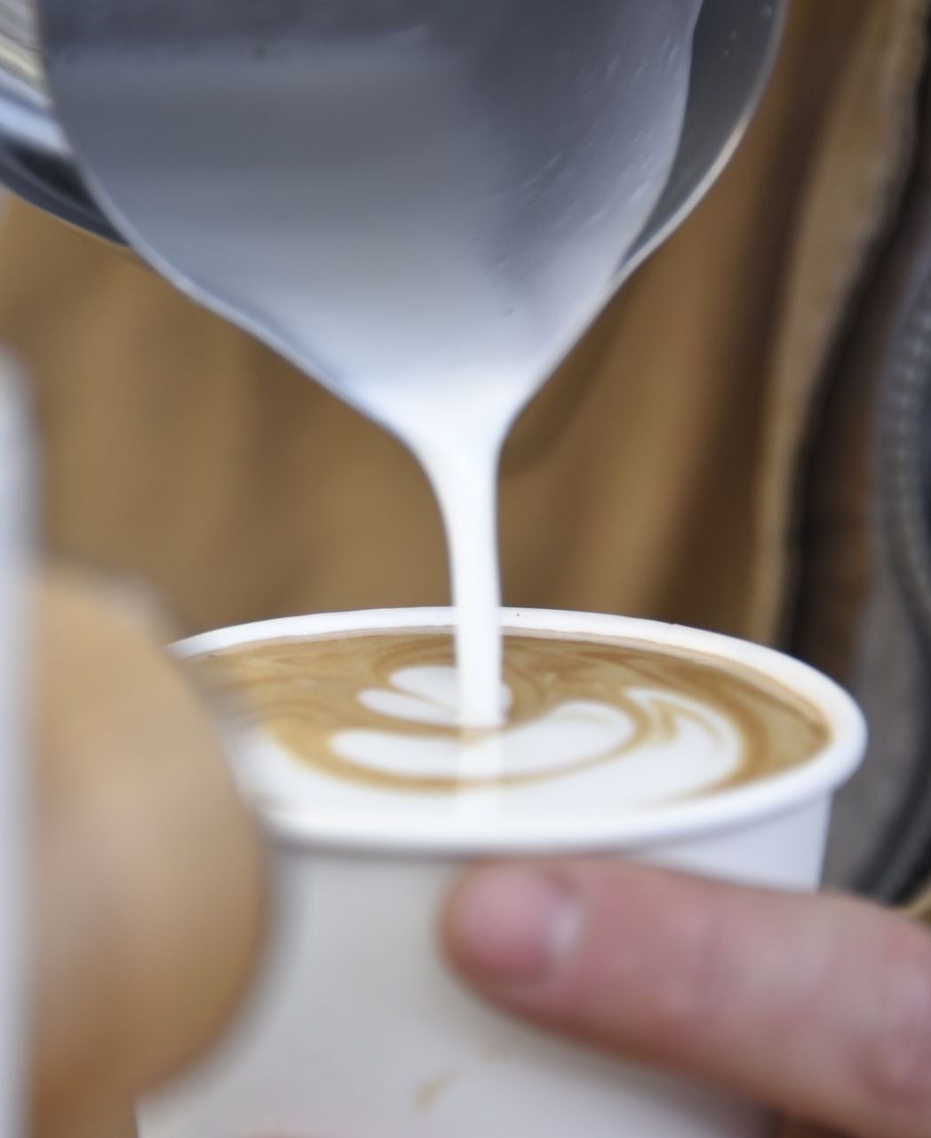 bear fruit coffee latte oro valley 