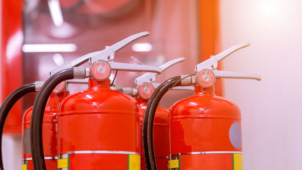 Red Fire Extinguishers Lined Up, Ready for Use, With Black Hoses and Silver Handles — Industry Fire Services in Bowen, QLD