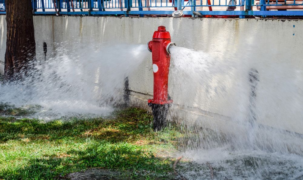 Red Fire Hydrant Gushing Water Onto Grass — Industry Fire Services in Port Douglas, QLD