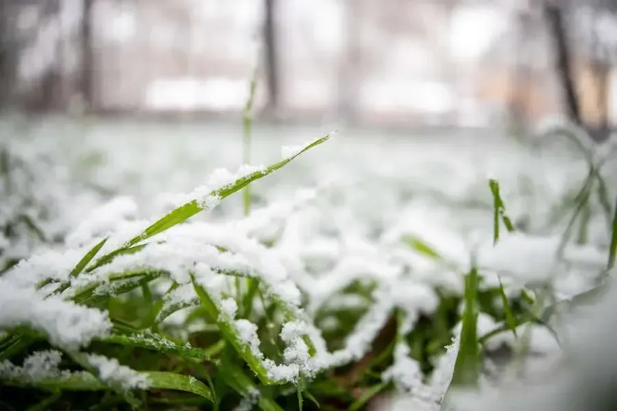 Snow and Ice Management
