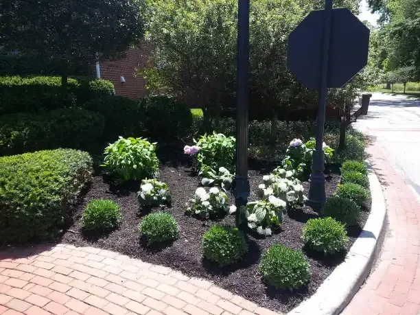 Landscaping