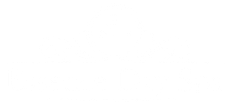 A white background with a few lines on it