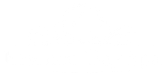 A white background with a few lines on it