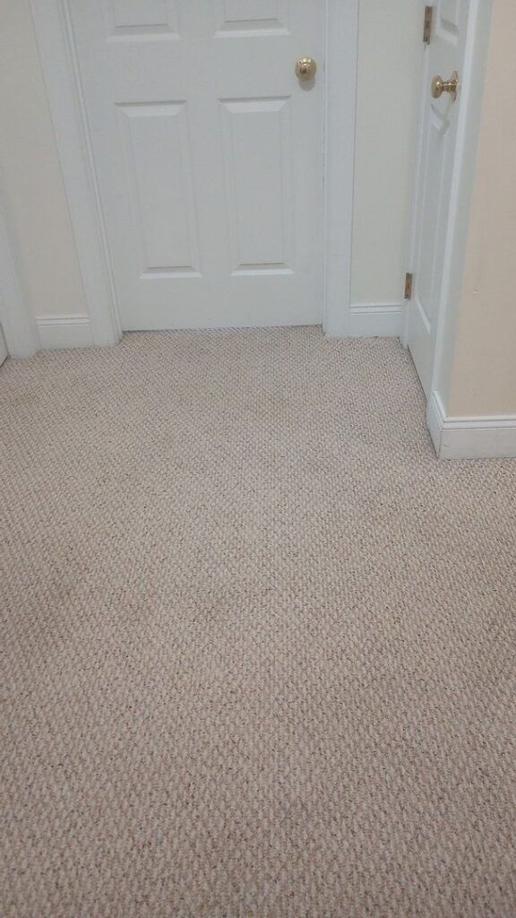 A light-colored carpet with vacuum lines arranged in a decorative, radiating pattern in front of two closed white doors.