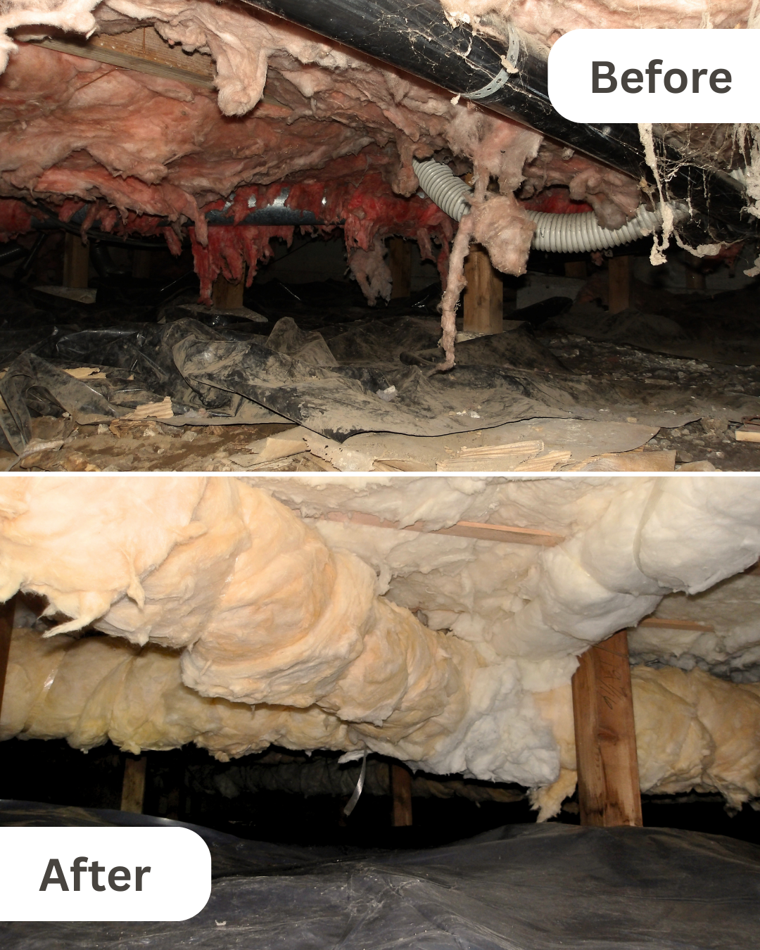 Before-and-after photos of a crawl space showing damaged, hanging insulation replaced with clean, properly installed insulation.