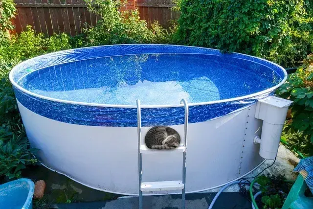 Above-ground pool in a grassy backyard with a metal ladder and a blue cover surface