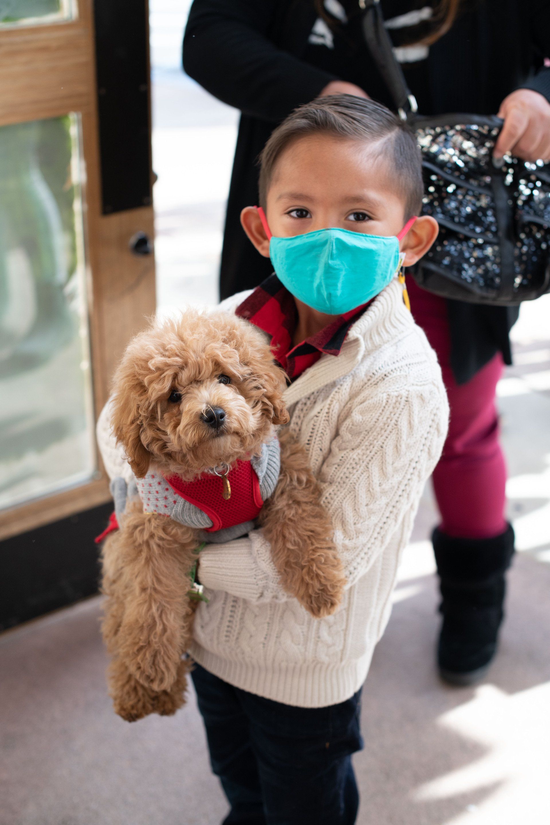 A young boy wearing a mask is holding a small brown dog.