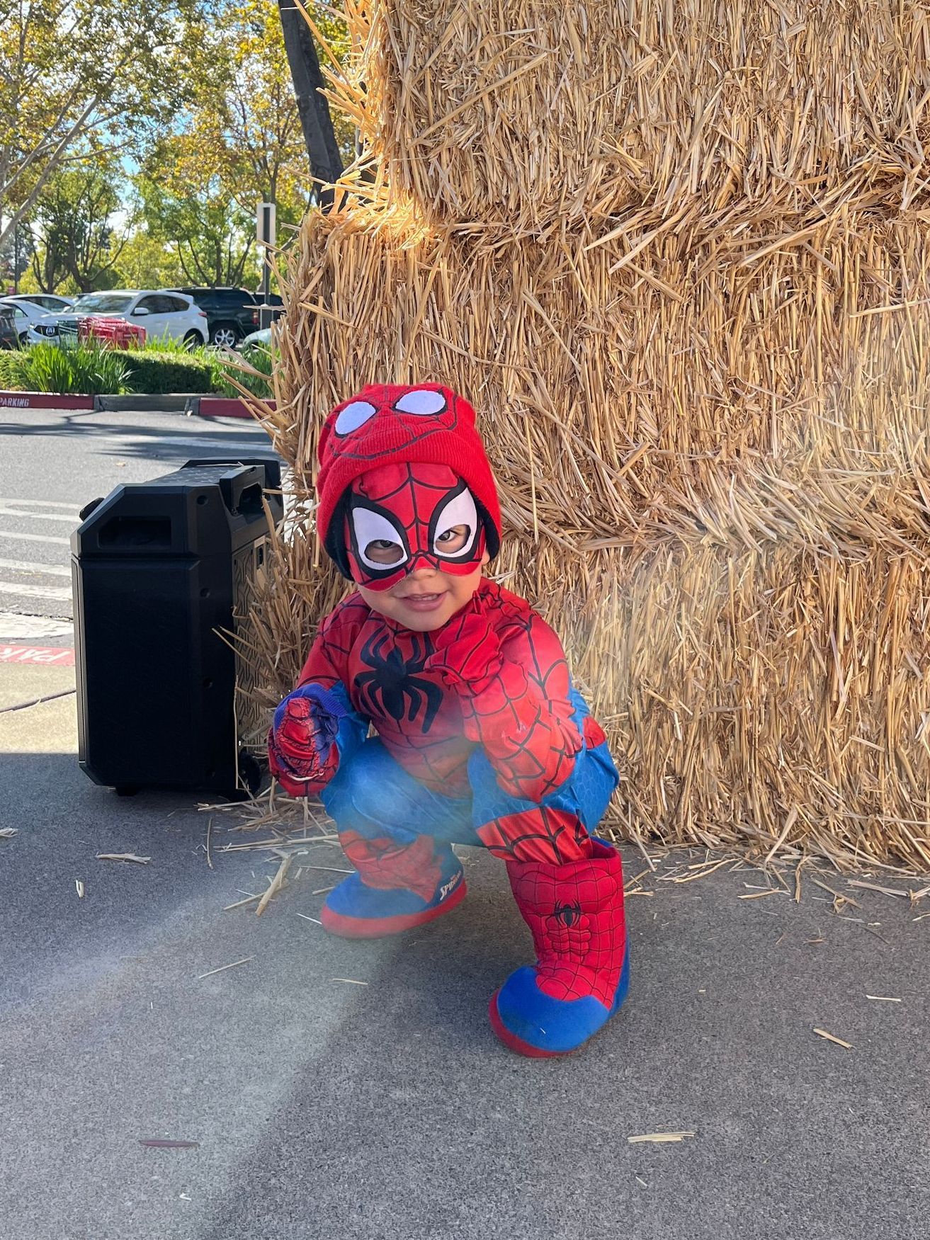 A baby dressed in a spiderman costume is standing next to a hay bale.