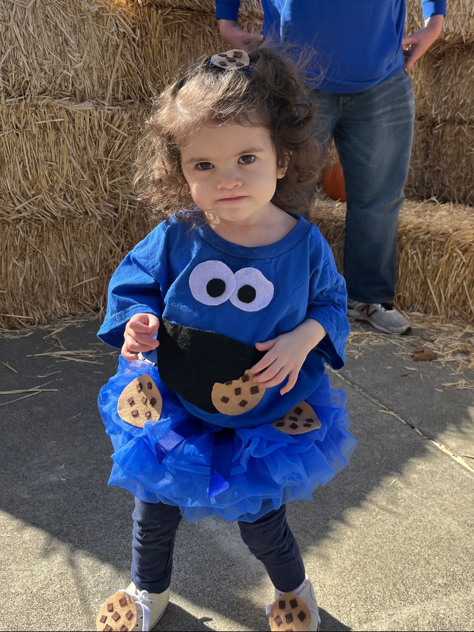 A little girl is dressed in a cookie monster costume.