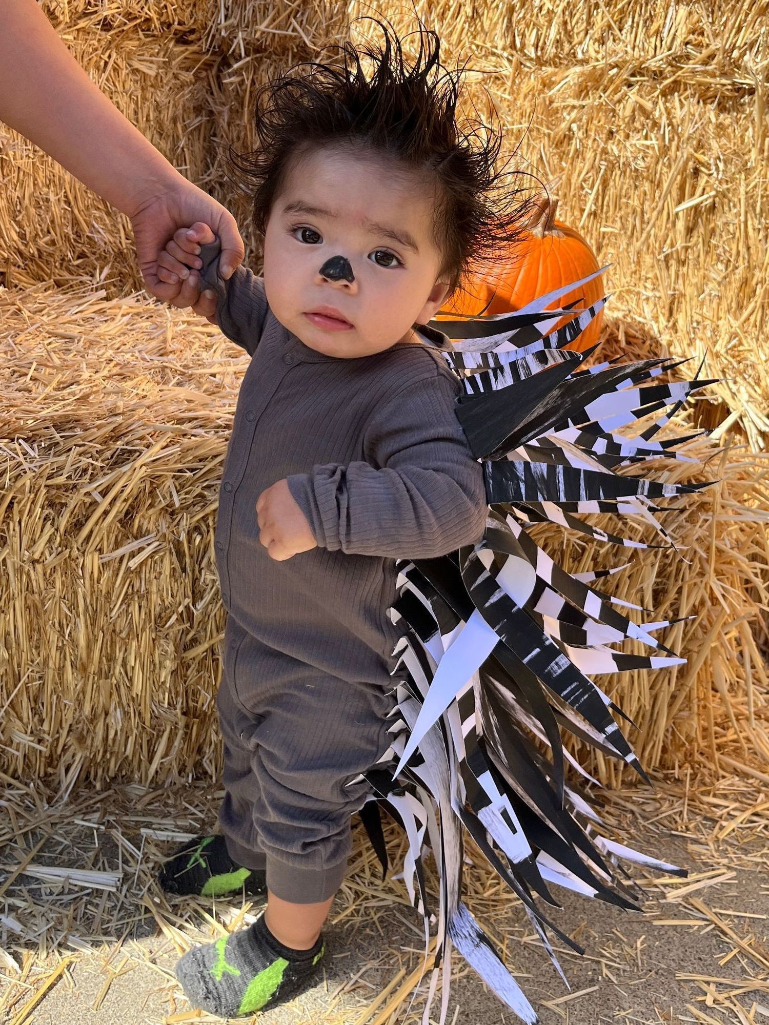 A baby dressed as a hedgehog is standing next to a pile of hay.