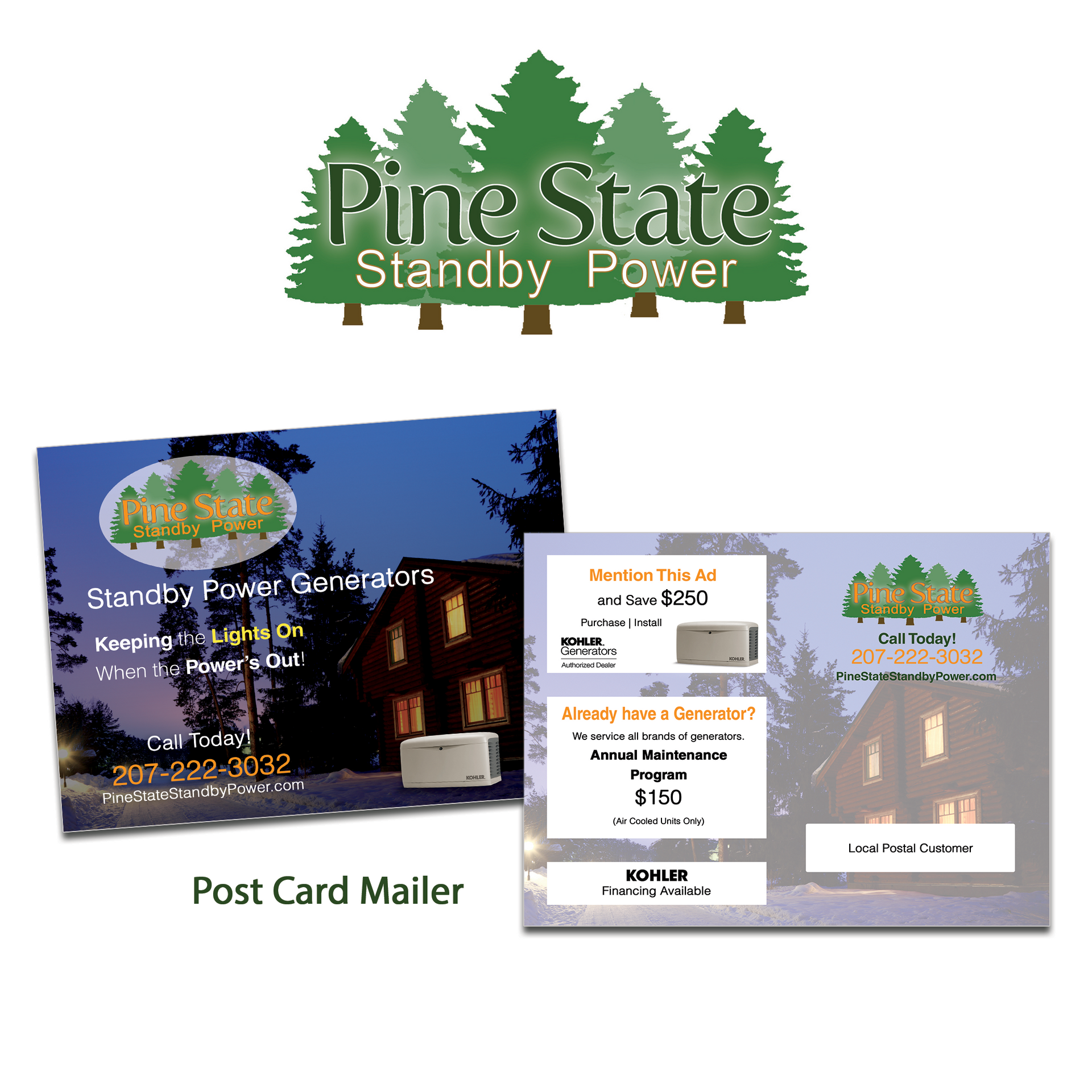 Electrician Logo and Post Card Mailer