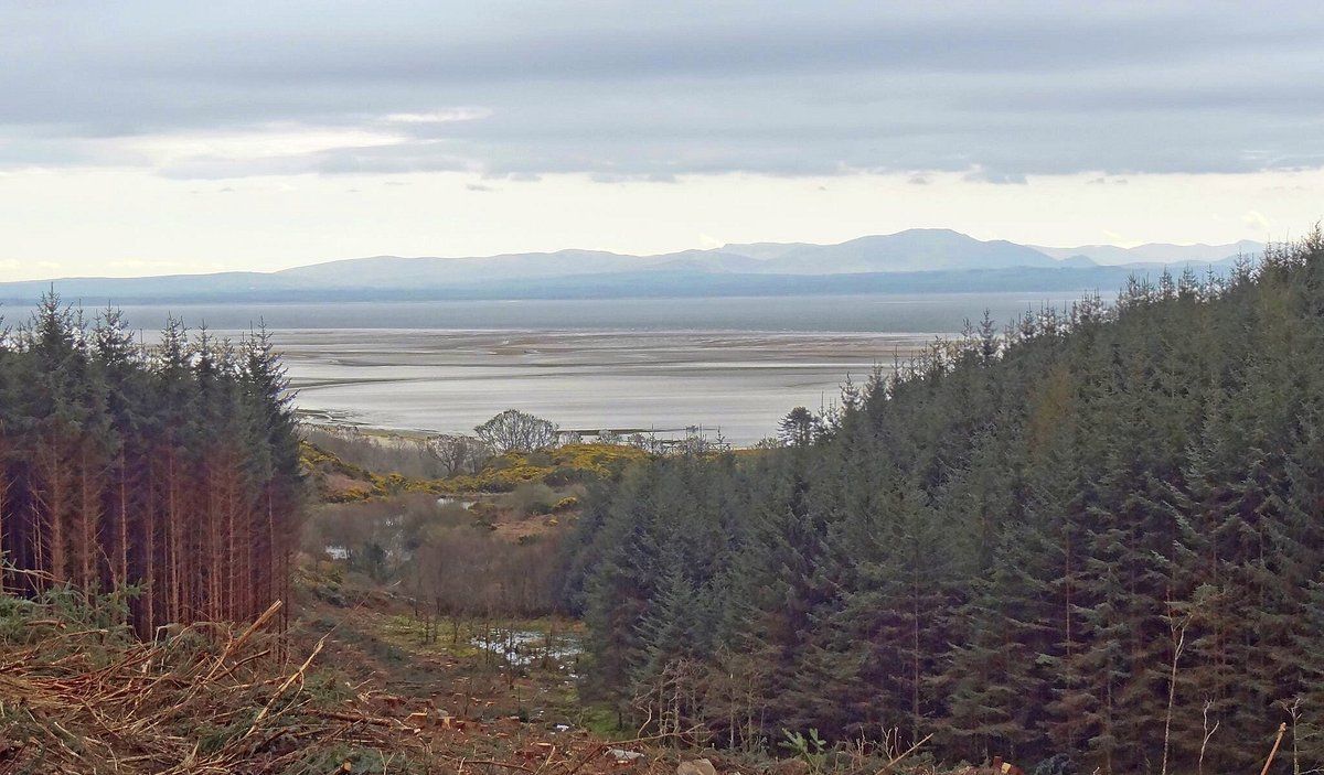 Bainloch Deer Park Sandyhills, Dalbeattie, Dumfries & Galloway, Scotland