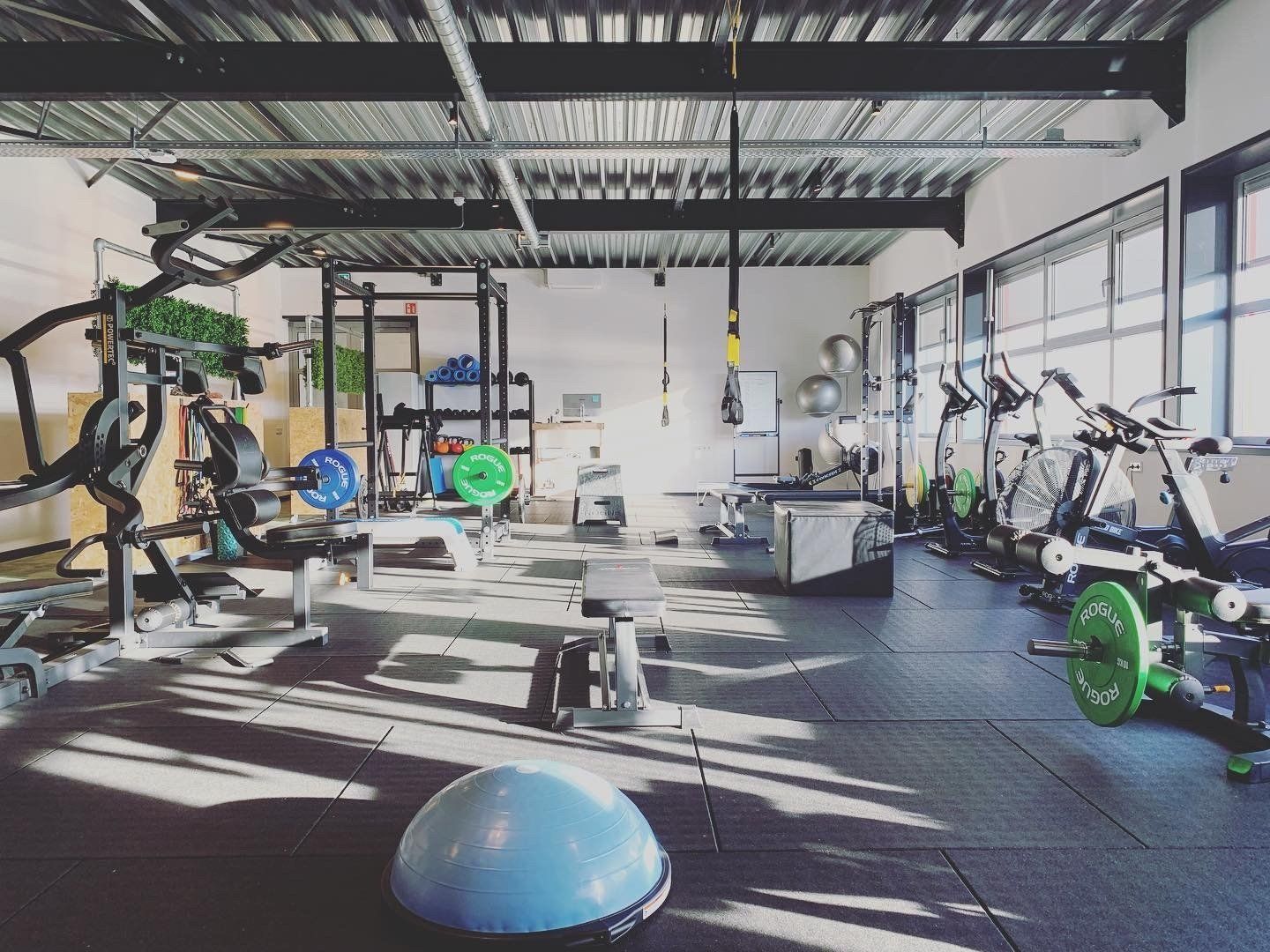 Interieur van een sportschool met diverse fitnessapparaten: gewichten, machines en een balansbal.