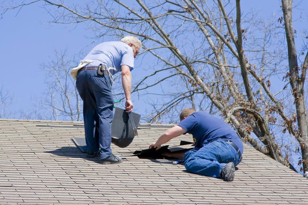Two Professionals Installing a New Roof — Mid Richmond Plumbers & Suppliers in Coraki, NSW