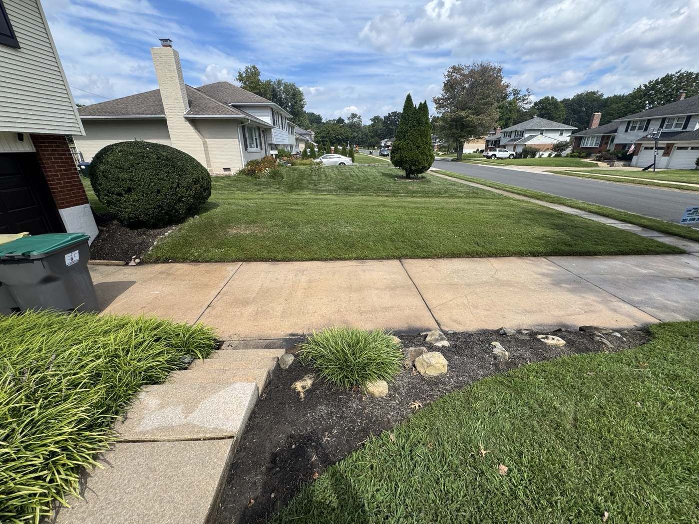 Front walk and sidewalk after cleaning