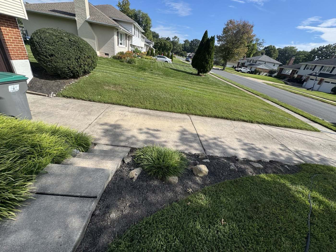 Front walk and sidewalk before cleaning