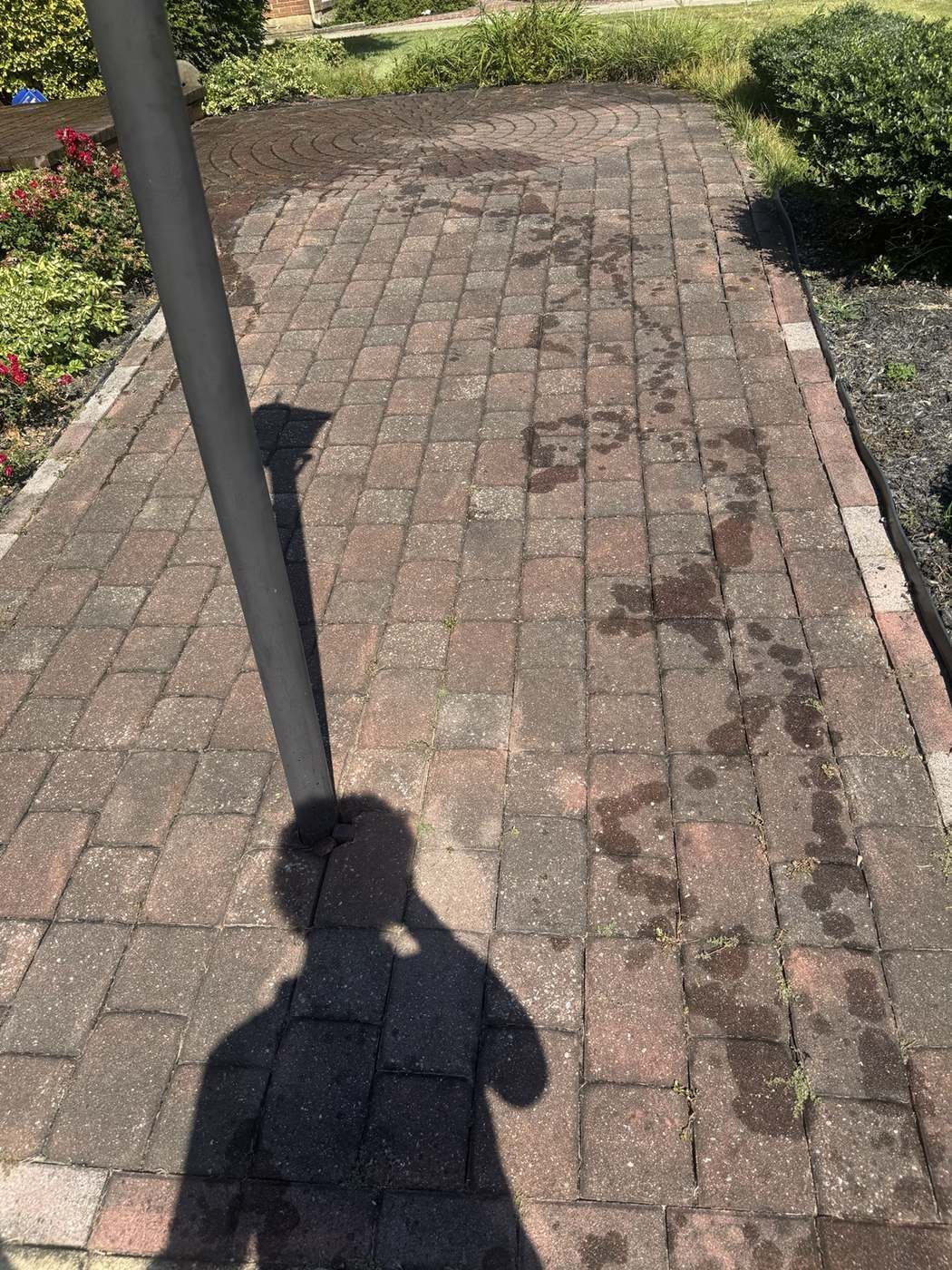 Stained paver walkway before cleaning