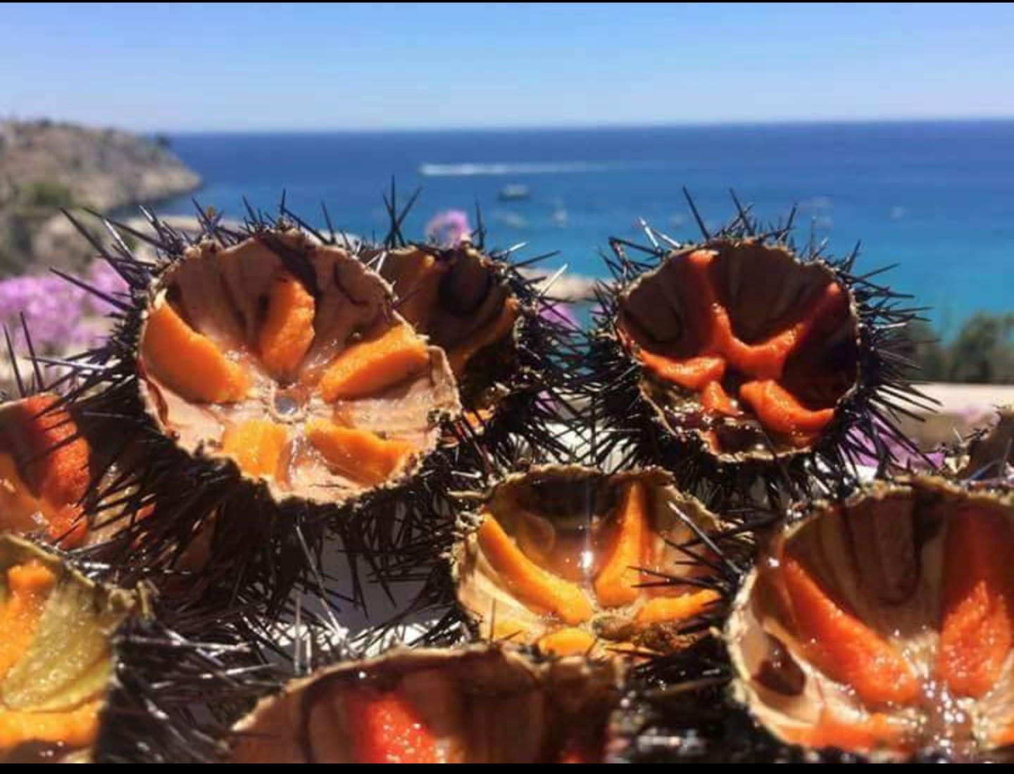 antipasto di mare
