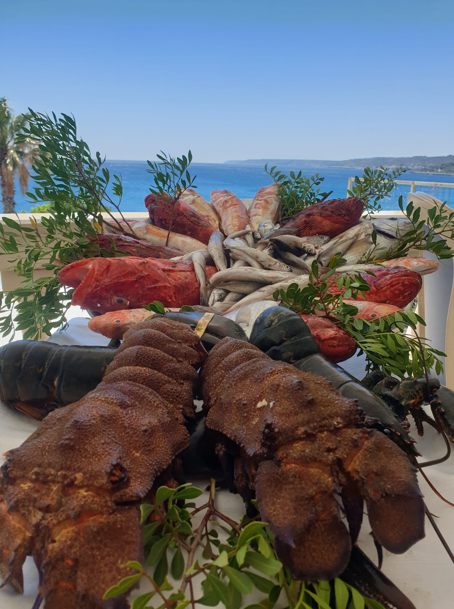 crostacei 