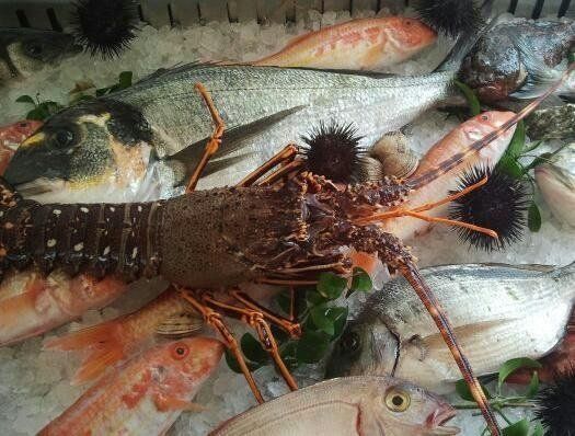 ricci di mare e aragoste
