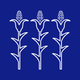 three corn on the cob are lined up in a row on a blue background .