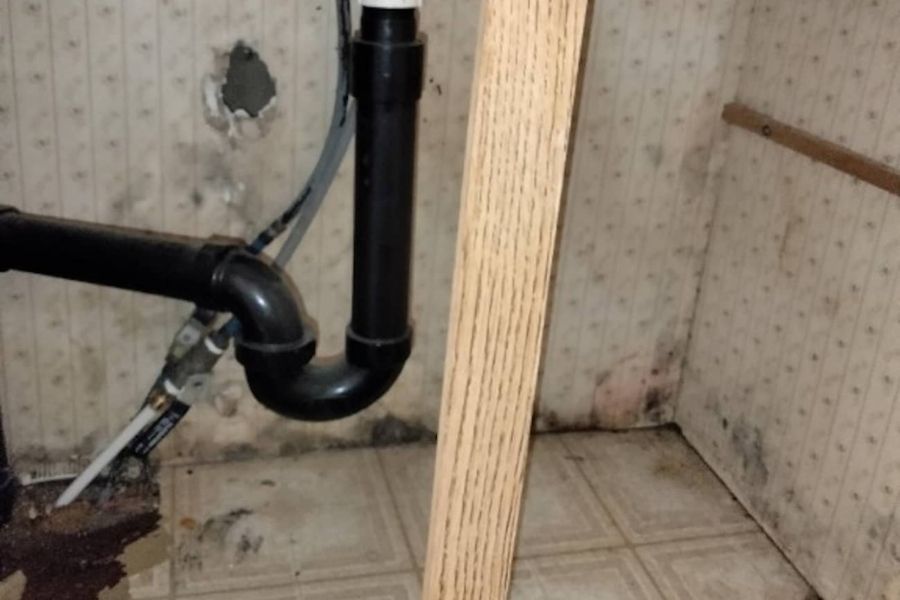 Mold growth spreading inside a kitchen cabinet after an undetected sink leak
