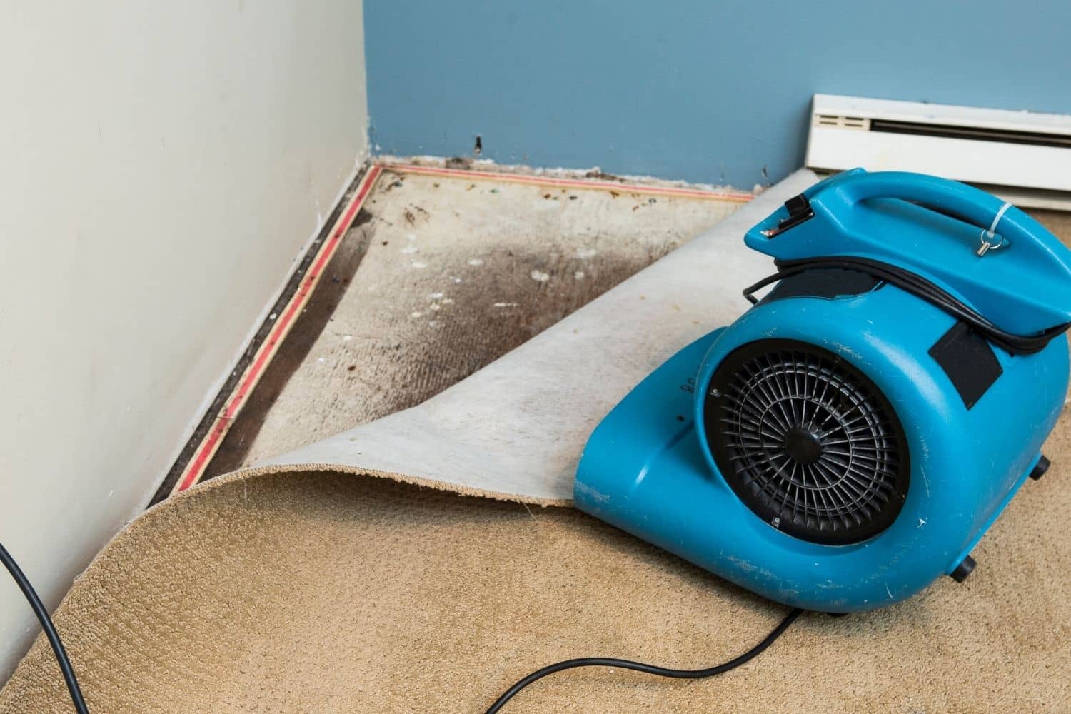 Commercial Water Damage