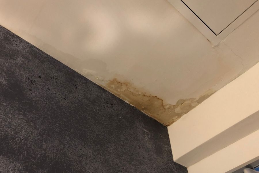 Thermal imaging detecting hidden water leak behind wall