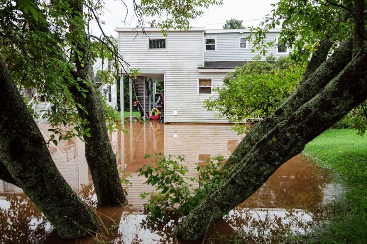 A flood disaster affects a yard with a house in the background and trees in the foreground.
