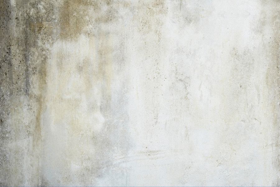 Dark discoloration and mold staining visible on an interior wall surface