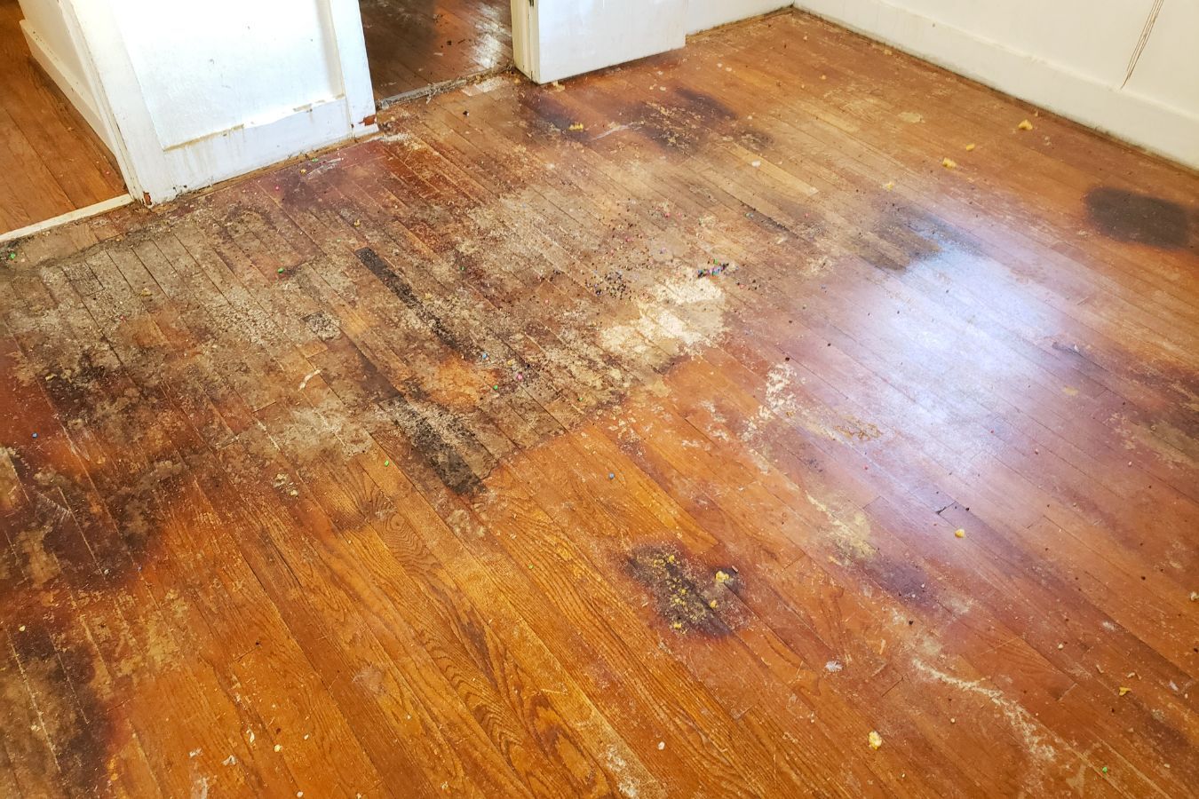 Water Damage Floor Repair for Weber County Homes