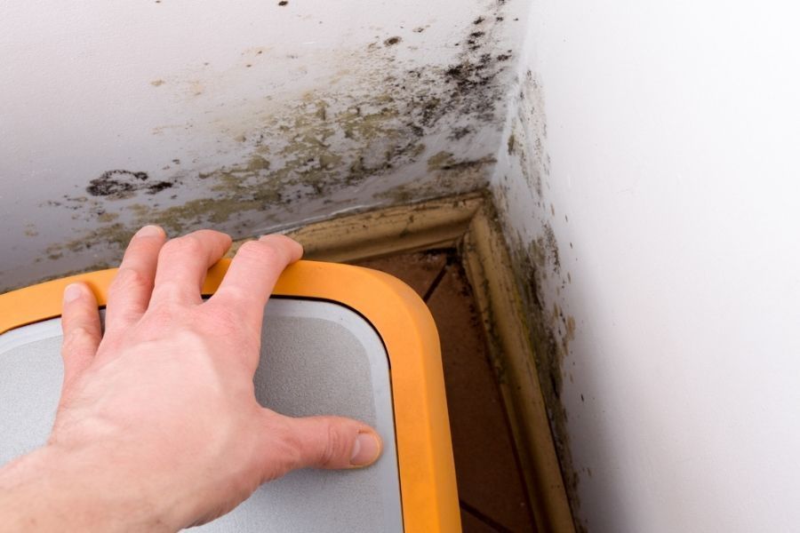 Visible mold growth spreading along the base of a wall and across baseboards after water damage in a home