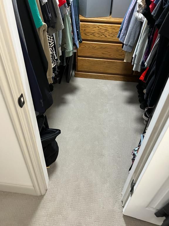 Walk-in closet with new carpet installed after sewage backup restoration