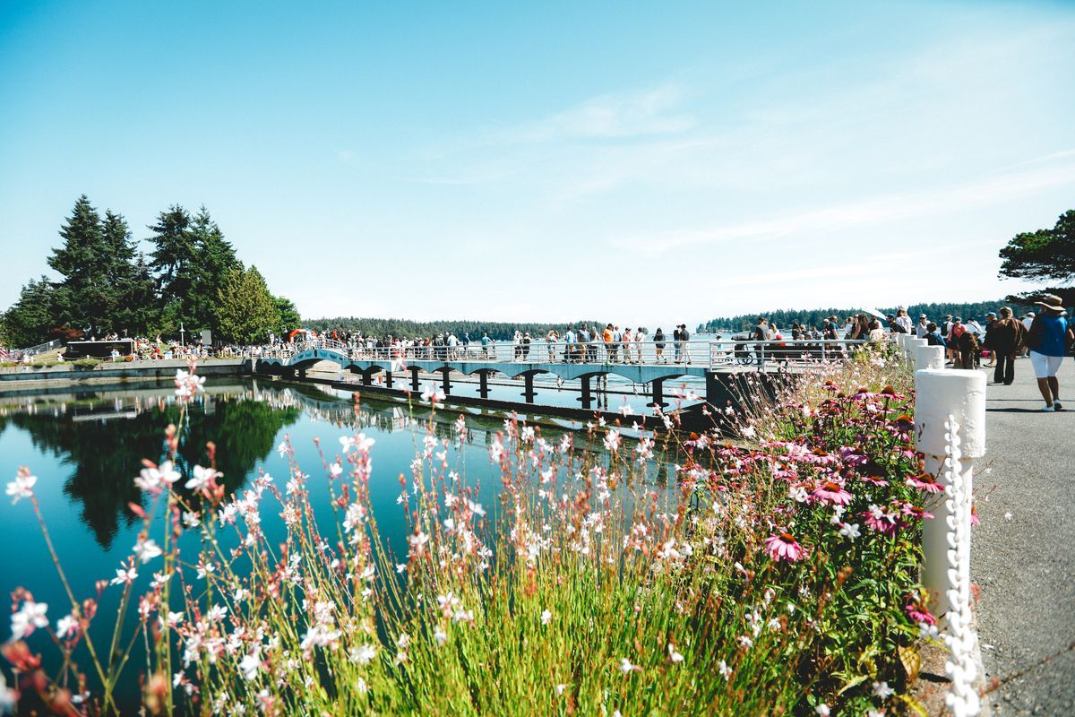 View of Nanaimo waterfront with wildflowers in the foreground