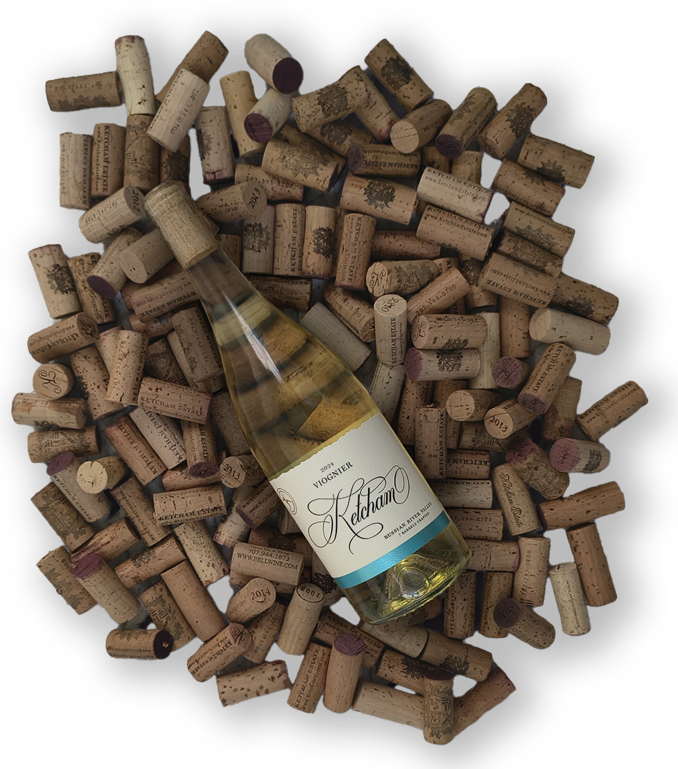Wine bottle on a white background, surrounded by a pile of corks