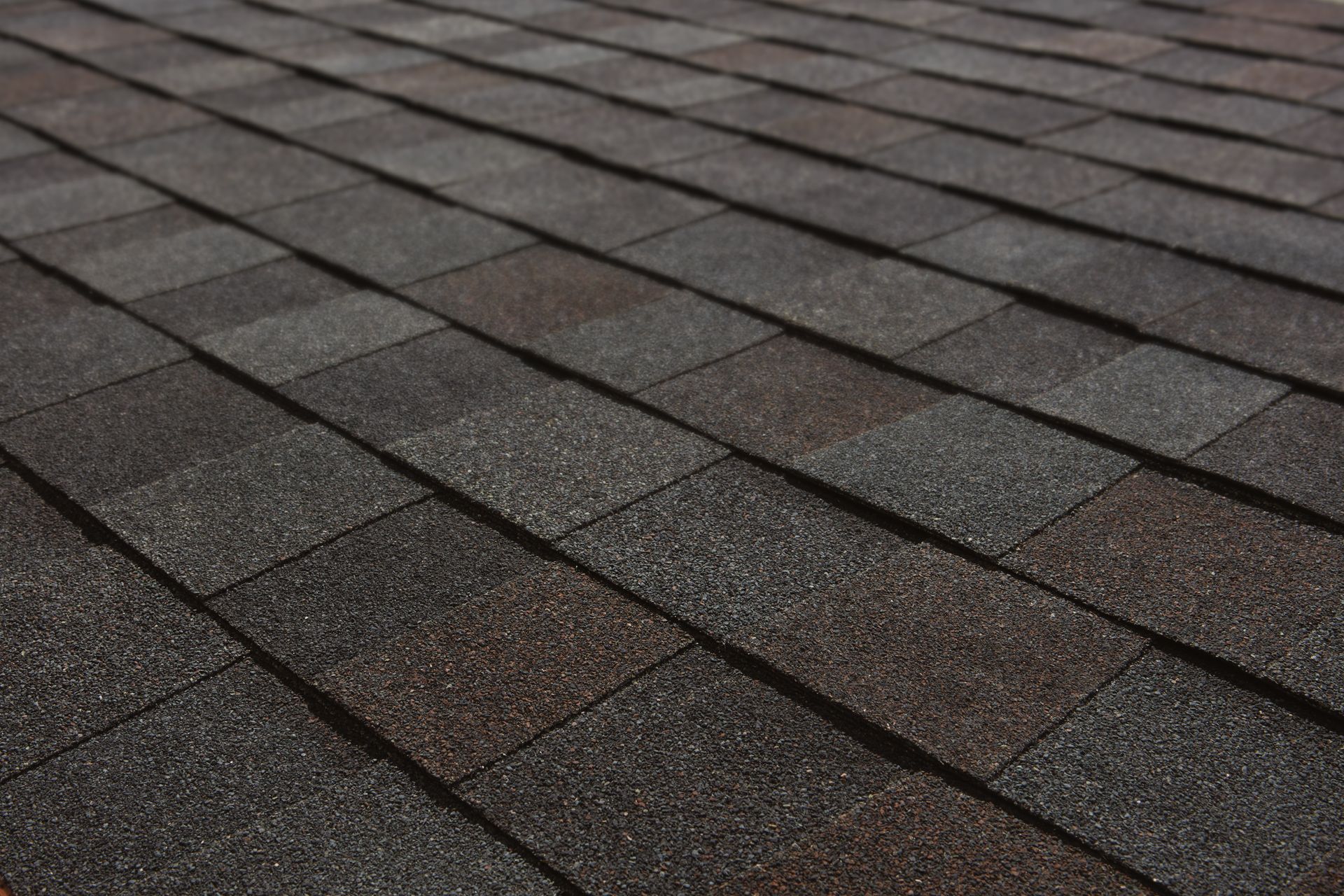 Close-up of dark gray shingled roof tiles with a textured surface