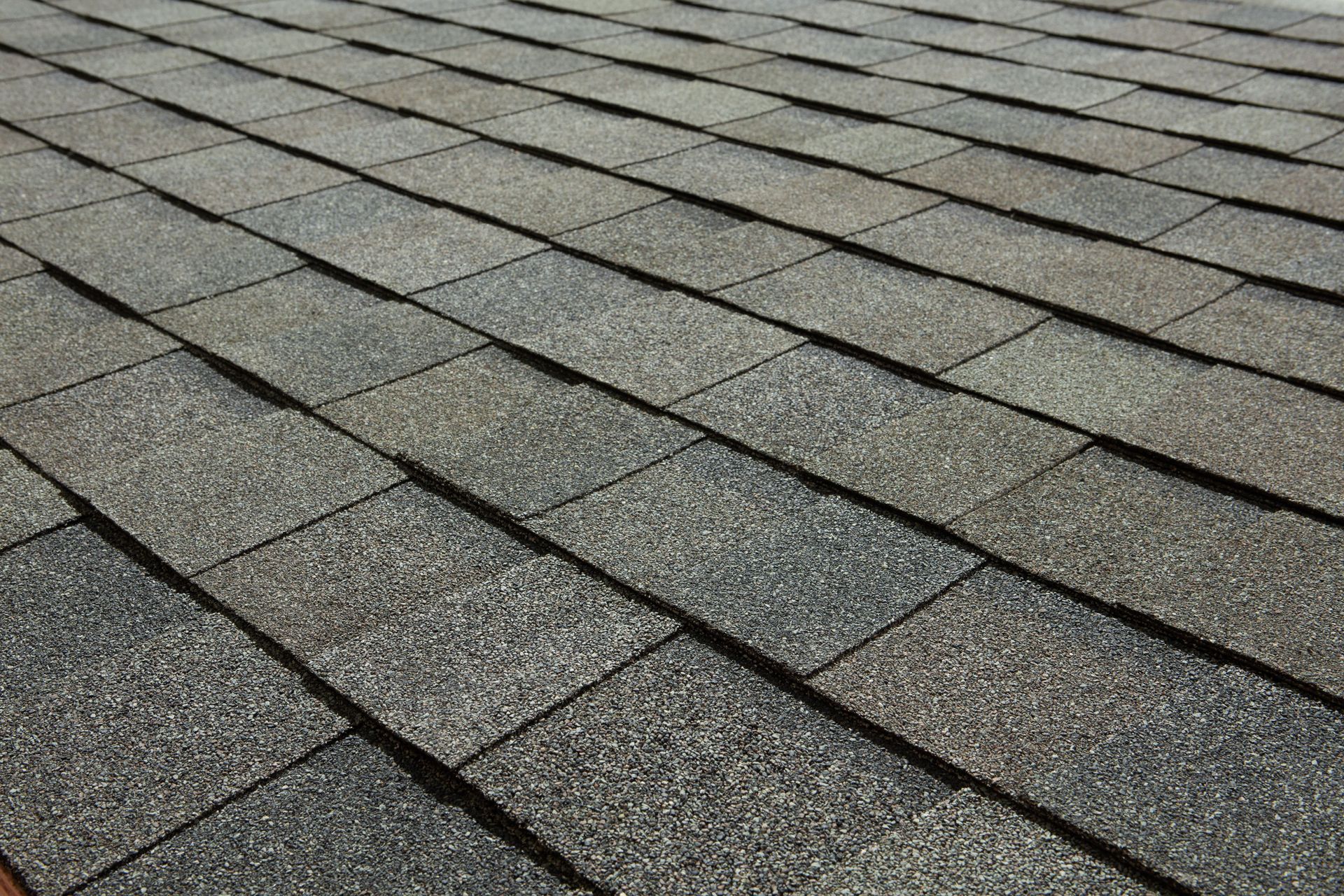 Close-up of gray asphalt roof shingles arranged in overlapping rows