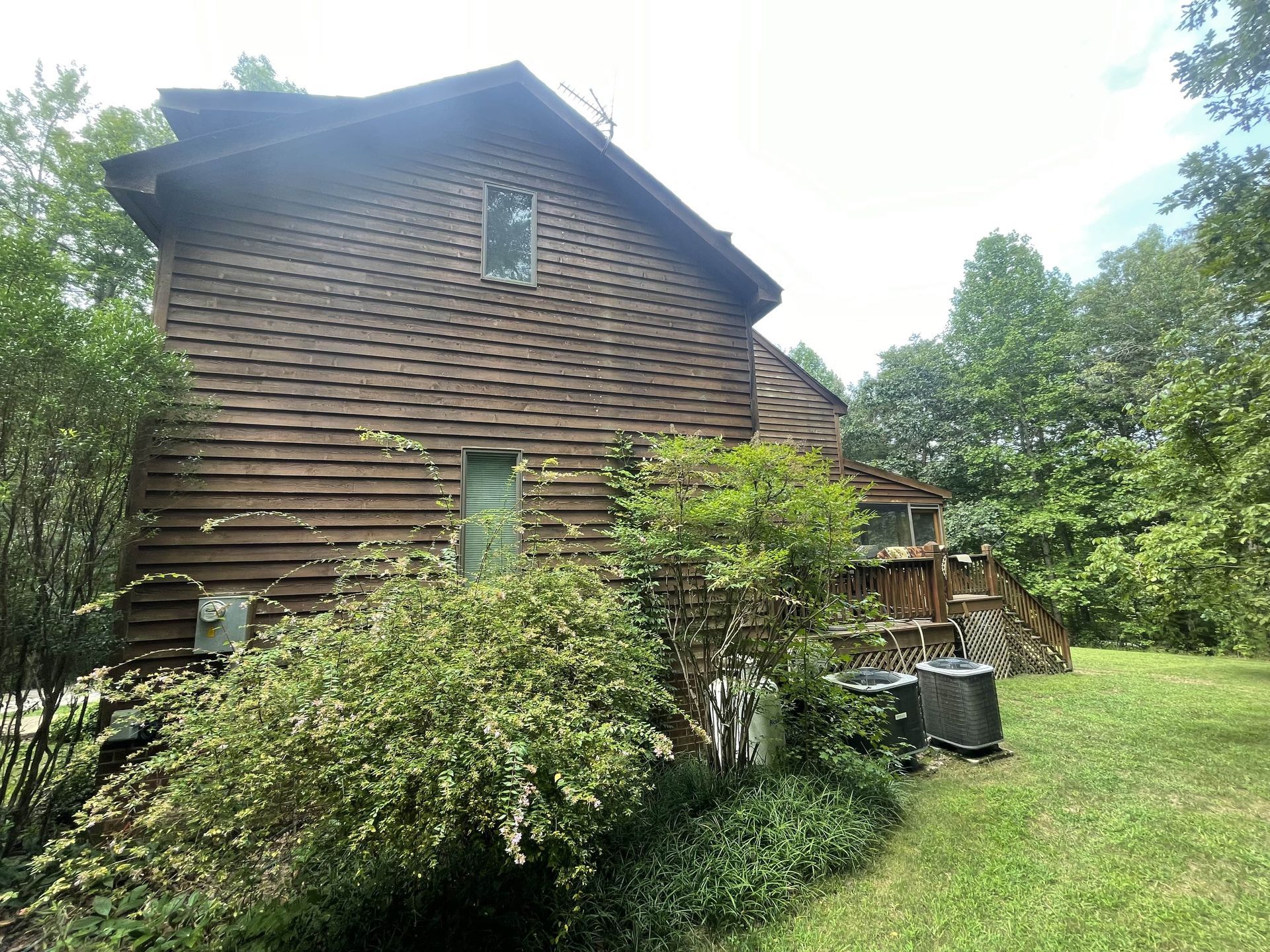 Wooden cabin with green windows, surrounded by trees and shrubs on a grassy lawn