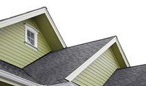 Green house siding and dark gray shingle roof against a white sky