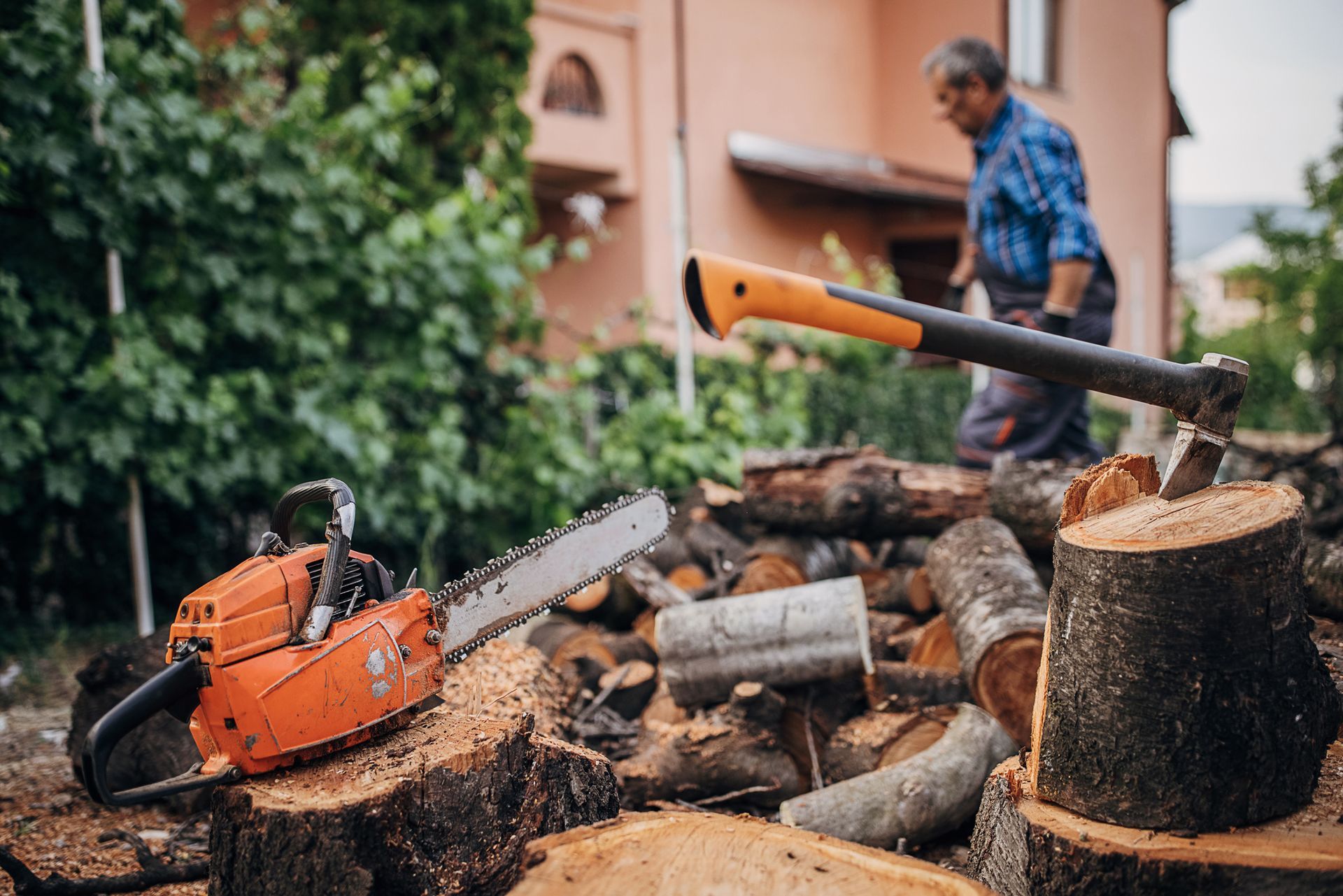 Debris Removal — Gainesville, FL — Gator Tree Service, Inc.